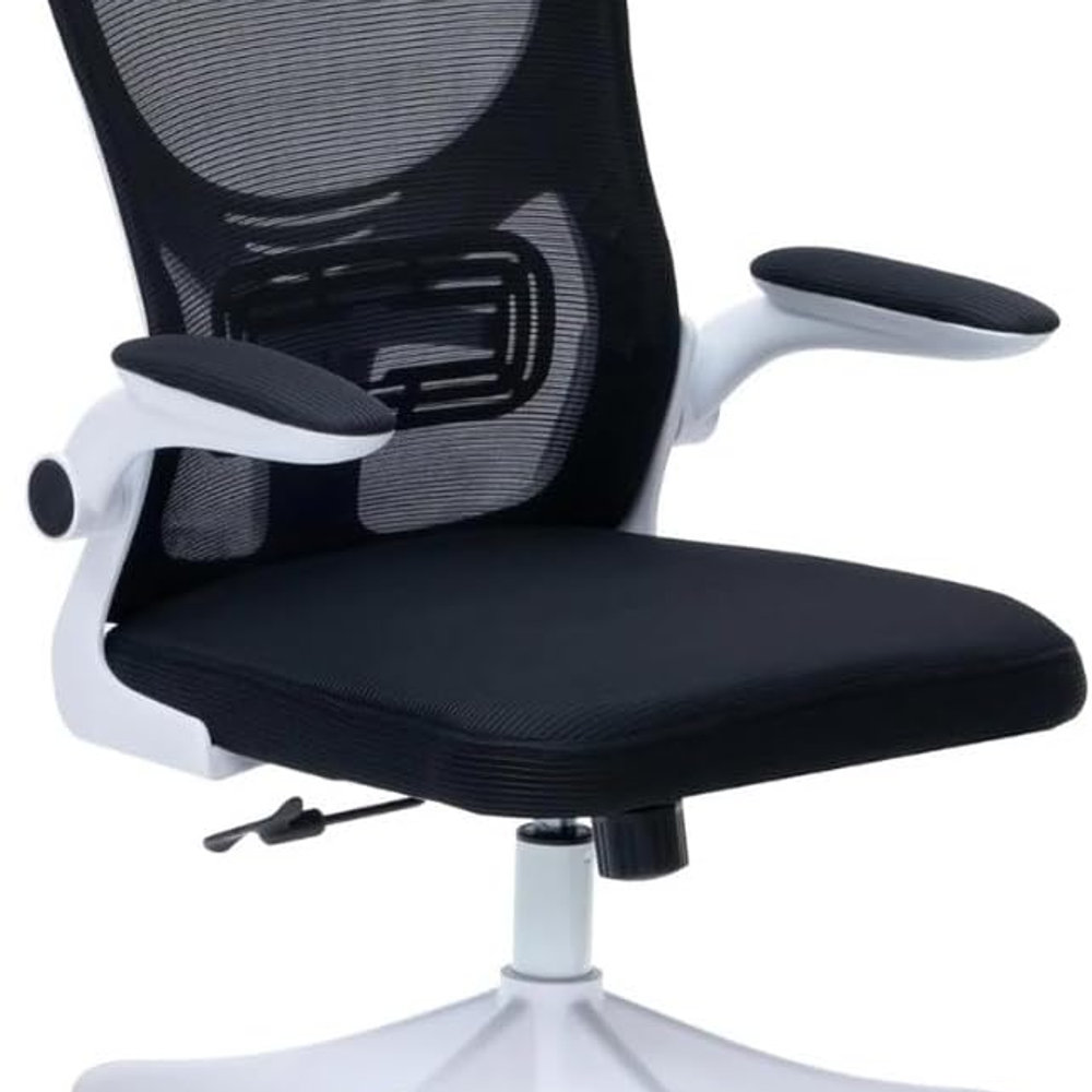 Finery ErgoPro Office Chair